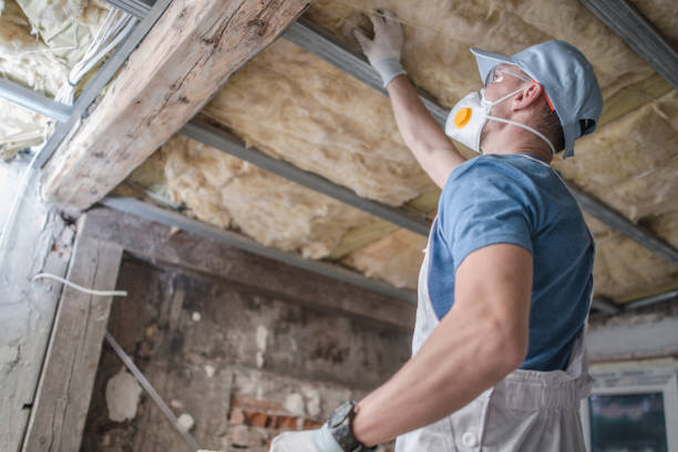 Best Insulation for Specific Applications in Mcallen, TX