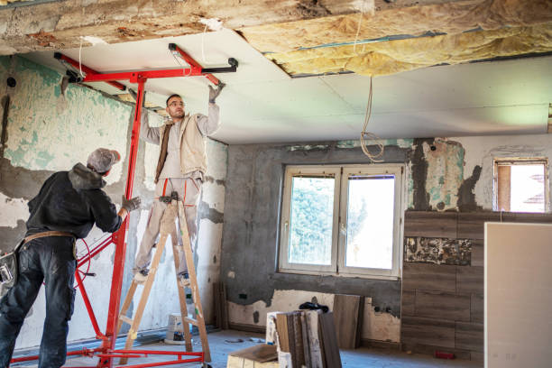 Best Insulation Maintenance and Repair in Mcallen, TX