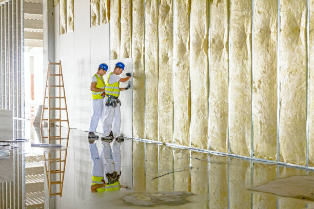 Best Insulation Installation Services in Mcallen, TX